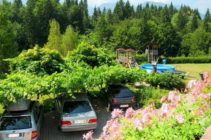 Parkirišče pred hišo v senci vinske trte, ob njem cvetoče gredice